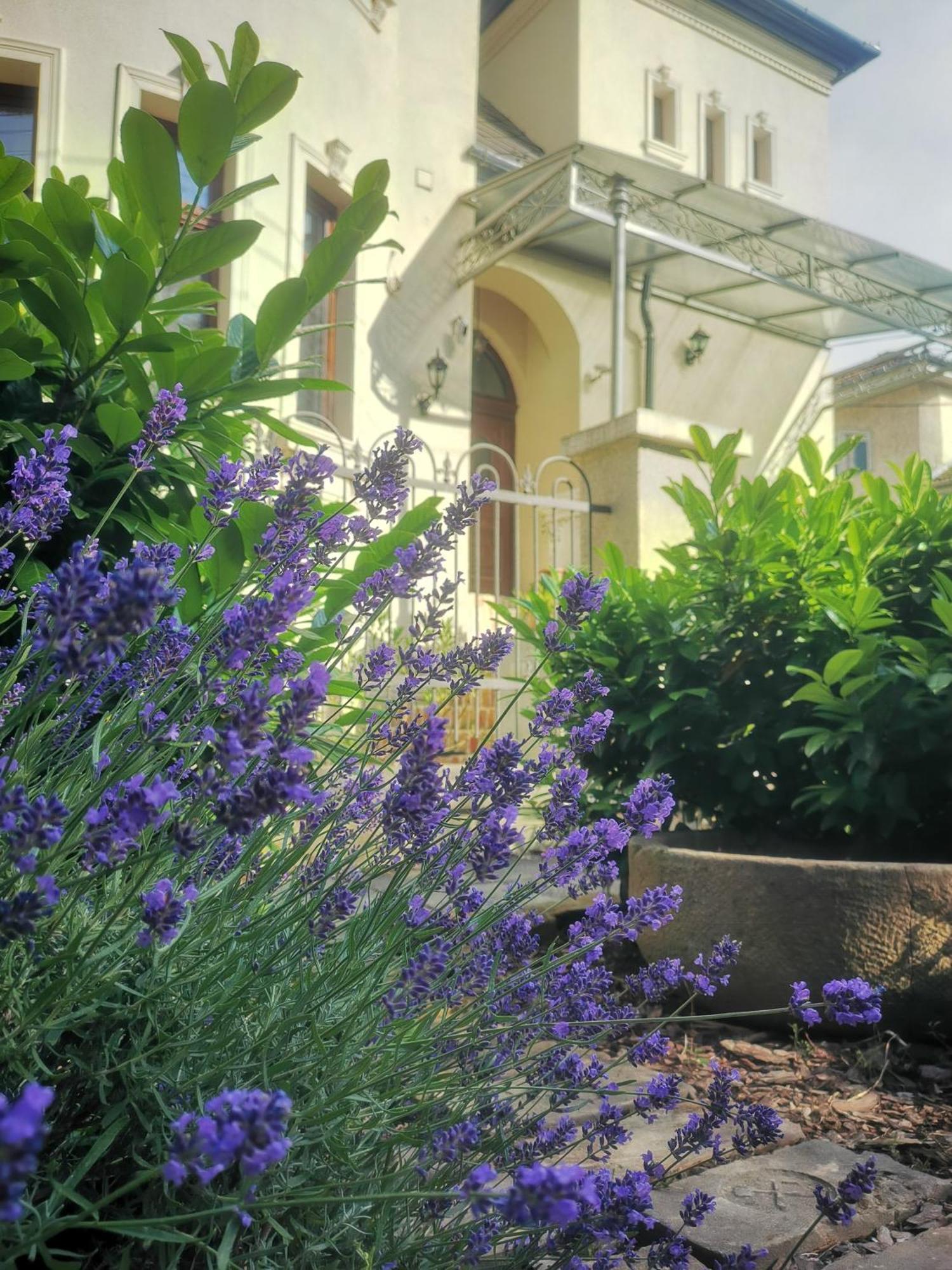 Kuria Apartman Budapest With Free Parking Exterior photo